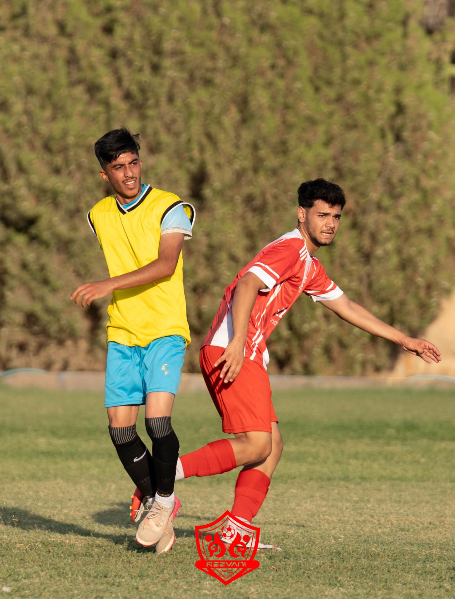 گالری باشگاه رضوانی